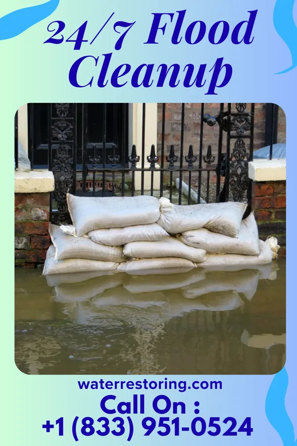 24/7 Flood Cleanup in Watertown Town, MA