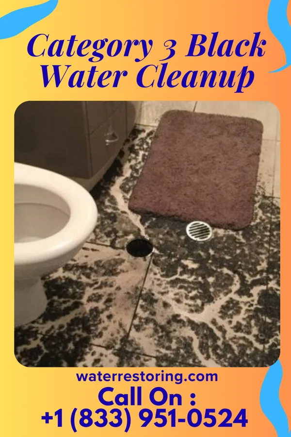 Category 3 Black Water Cleanup in Watertown Town, MA