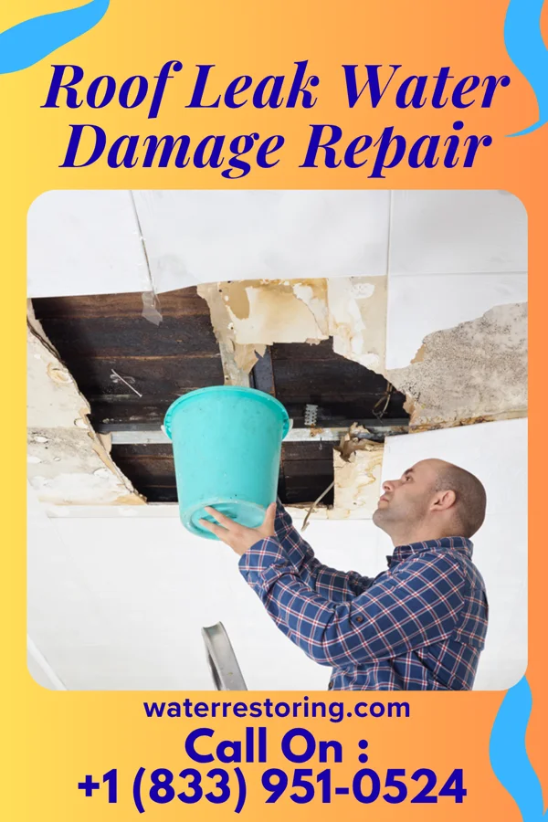 Roof Leak Water Damage Repair in Watertown Town, MA